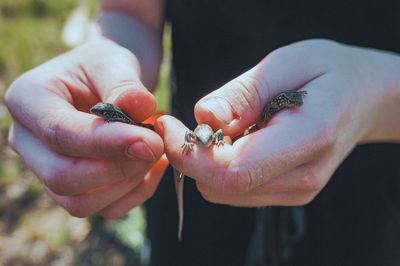 Midsection of man holding lizards