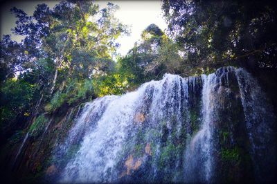 Scenic view of waterfall