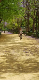 Rear view of man walking in park