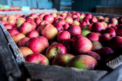 Apples in crate at market stall for sale