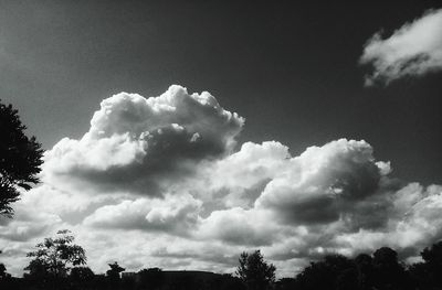 Low angle view of trees against cloudy sky