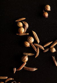 High angle view of eggs on table against black background