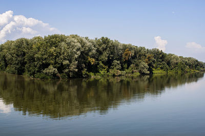 Scenic view of lake by trees against sky