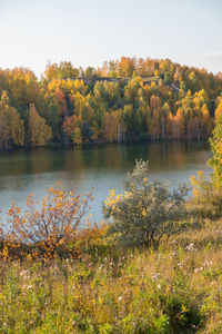 Scenic view of lake by trees during autumn