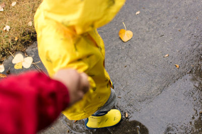 Low section of boy on yellow leaf