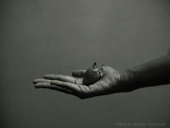 human hand