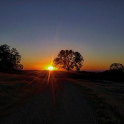 Silhouette of trees on landscape at sunset