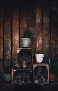 Potted plant in room