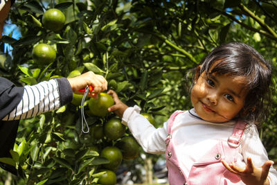 Portrait of woman holding fruits on plant