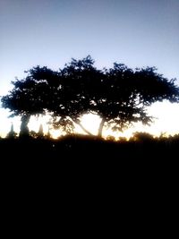 Silhouette trees on field against sky during sunset