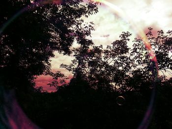 Silhouette of trees against sky at sunset