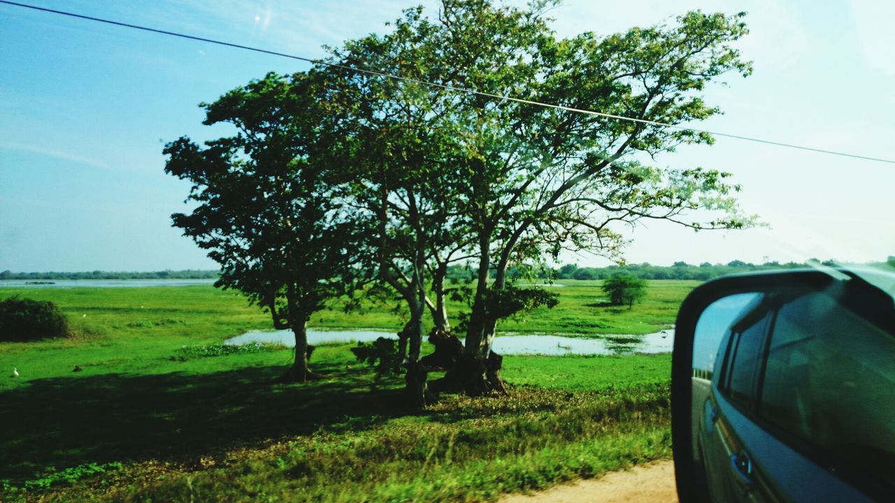 Vavuniya