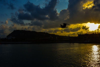 Silhouette of birds flying over river against sky during sunset