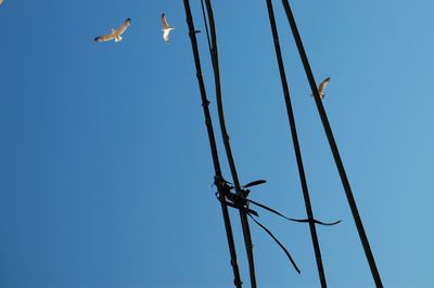 Low angle view of helicopter flying against clear blue sky