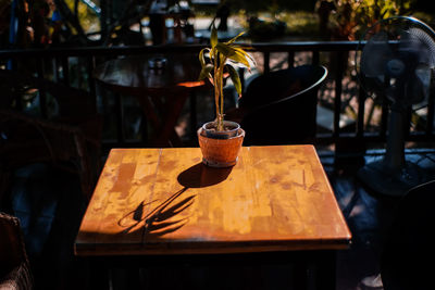 Close-up of potted plant on table in restaurant