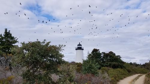 Flock of birds flying against sky