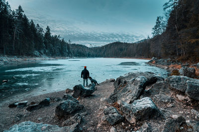 Rear view of man with dog standing by river in forest