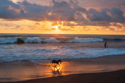 View of sea at sunset