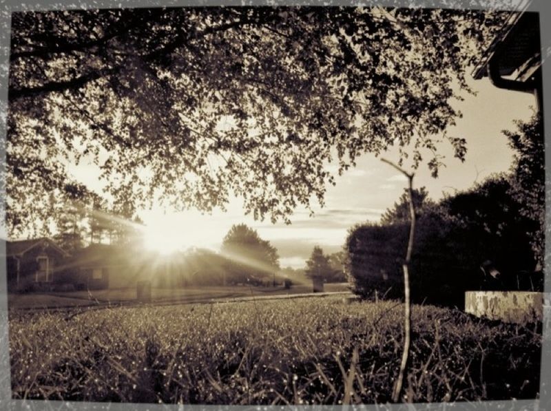 sun, sunbeam, tranquil scene, sunset, tranquility, sunlight, field, landscape, grass, lens flare, scenics, tree, nature, beauty in nature, sky, transfer print, grassy, auto post production filter, growth, rural scene