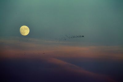 Low angle view of moon in sky