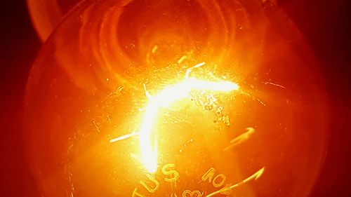 Close-up of red rose