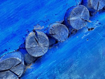 Close-up of logs in blue wall