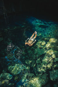 High angle view of man swimming in cenote