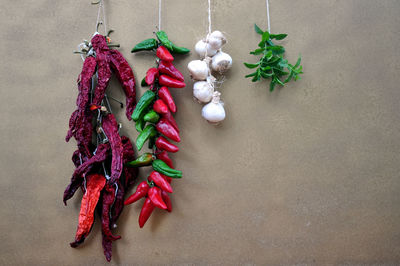 Close-up of red chili peppers