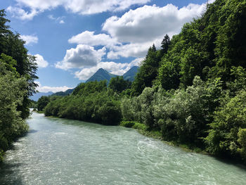 Scenic view of river amidst trees against sky