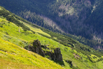 Scenic view of landscape