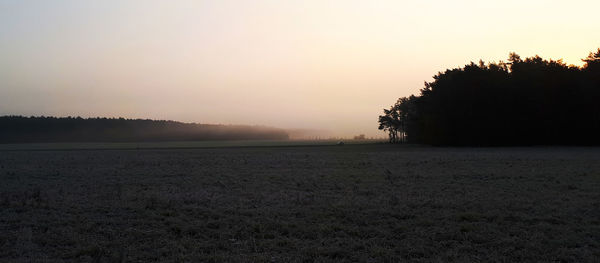 Silhouette trees on field against sky during sunset