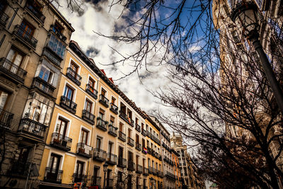 Low angle view of tree and building against sky