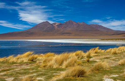 Scenic view of lake and mountains against sky