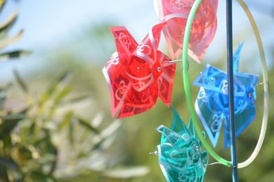 Close-up of multi colored pinwheel toys