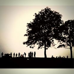 Silhouette trees against sky