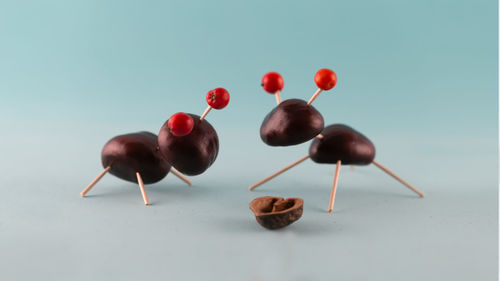 Close-up of red berries on table