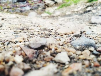 Close-up of stones on beach