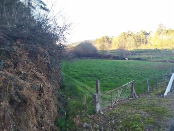 Scenic view of field against sky