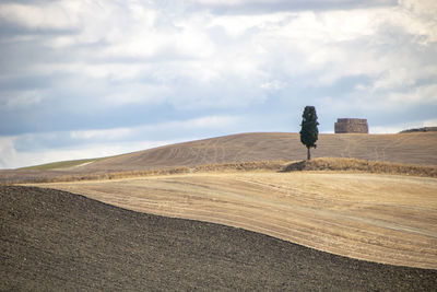 Rear view of man standing on desert against sky