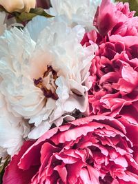 High angle view of rose bouquet