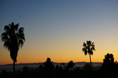 Silhouette palm trees against clear sky during sunset