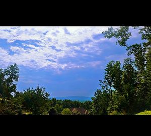 Trees on landscape against cloudy sky