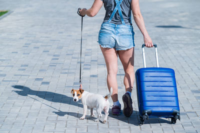 Low section of woman with dog standing on street