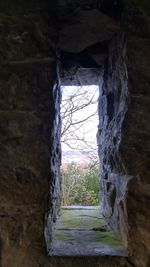 Close-up of stone wall