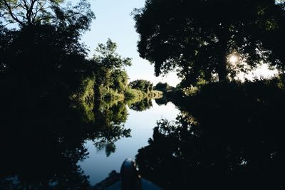Silhouette trees by lake against sky in forest