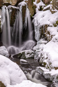 Scenic view of waterfall in forest