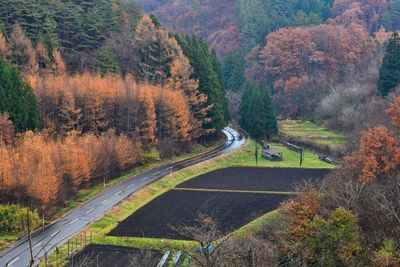 High angle view of road amidst trees