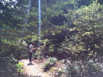 Rear view of woman standing amidst trees in forest