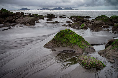 Scenic view of beach