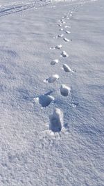 High angle view of footprints on snow